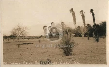 RPPC 20-Furnace Creek Ranch,Death Valley,Cal.,CA Inyo County Willard Vintage PC