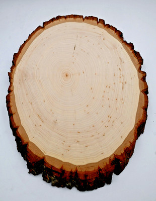 Walnut Hollow Basswood Country Round for Home Decor 12'' x 9''