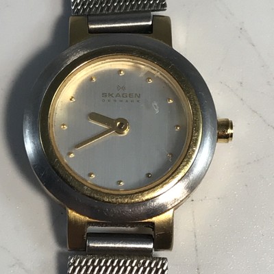 Skagen Denmark STAINLESS Steel Women's Two Tone Mesh Band Wristwatch 120SGG 