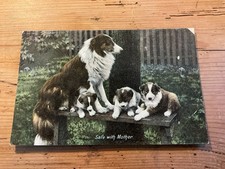 Vintage Postcard Of Sheepdog And Puppies ‘Safe with Mother’