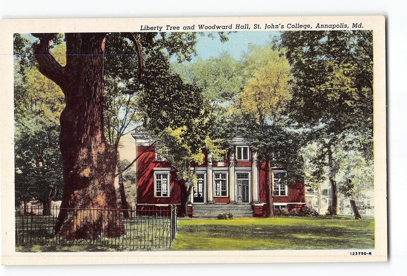 Annapolis Maryland MD Postcard 1915-1930 St John's College Woodward Hall