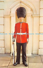 R292319 Sentry of the Irish Guards at Clarence Hose