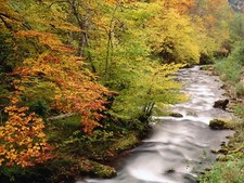 Landscape nature creeks long exposure fall Custom Gaming Mat Desk