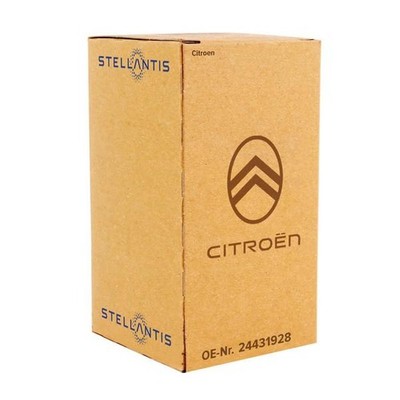 Original Citroen SCHRAUBE RLX - SCHRAUBE 24431928