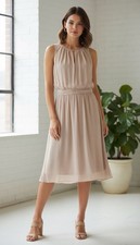 Adrianna Papell Light Pink Chiffon Dress