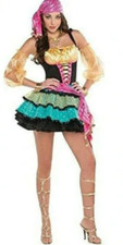Mystyfying Gypsy Women's Halloween Costume