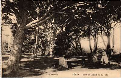 CPA ALGERIA TENES Coin du Jardin de la Ville (1358679)