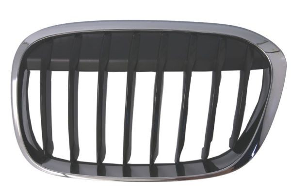 Left Front BLIC 6502-07-0082993MP Radiator Grille for BMW