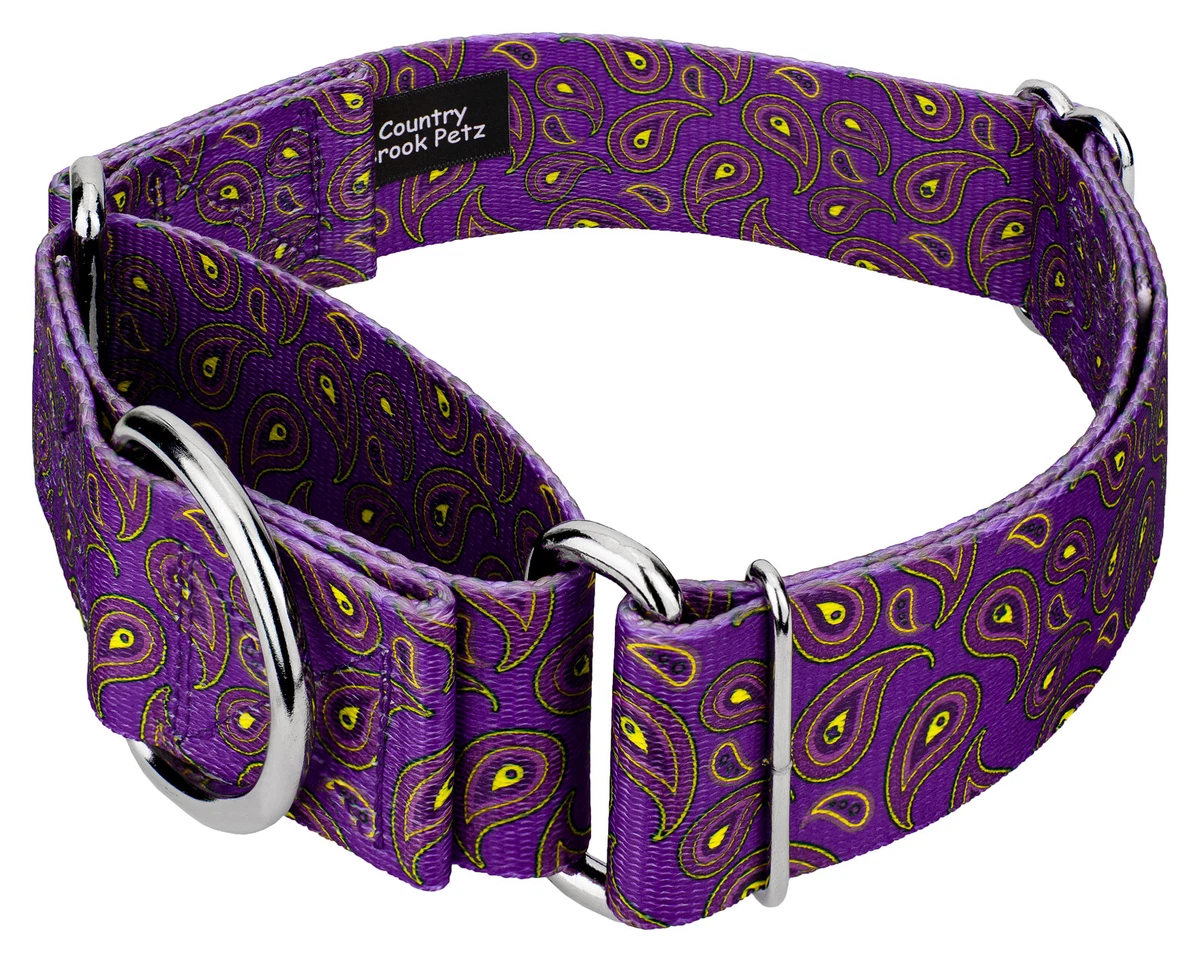 Purple paisley sale dog collar