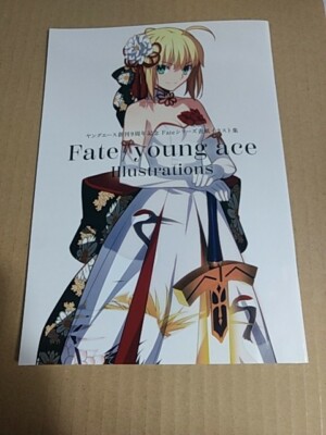 fate illustration booklet FGO fate/zero fate/stay night takeuchi ...