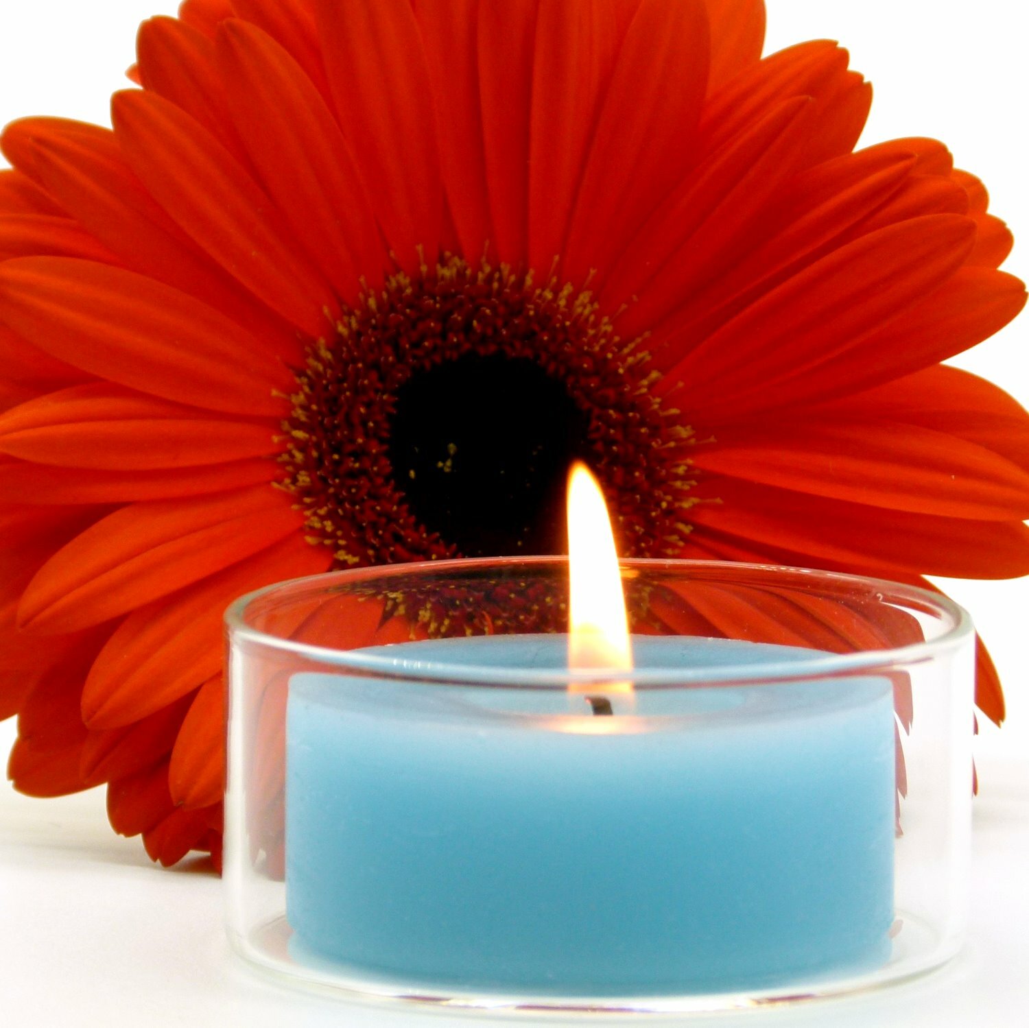 Maxi TeelichtGläser für MAXI-TEELICHTER Maxi TeelichtHalter Teelicht ✅ 10 STK. ✅