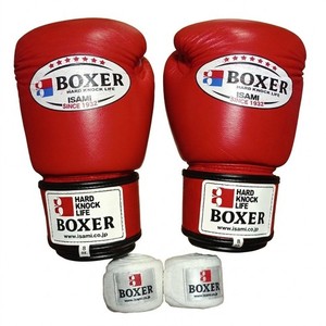 Isami Boxing Gloves | eBay