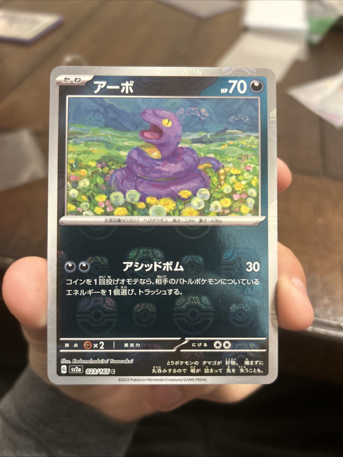 Ekans Master Ball C 023/165 151 SV2a Pokemon Card Japanese NM #81843
