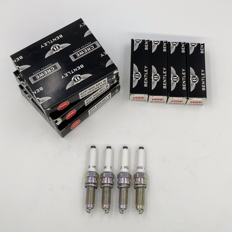 12X OEM Spark Plugs Fitting Bentley W12 6.0T 07P905601 A B W12