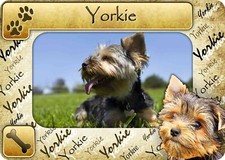 Yorkie Picture Frame Fridge Magnet