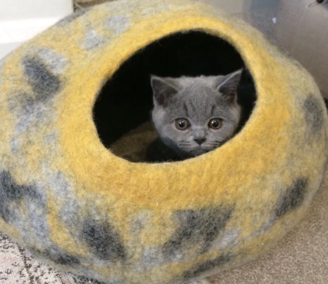 Handmade felted cat bed,Igloo,small dog bed, pet cave