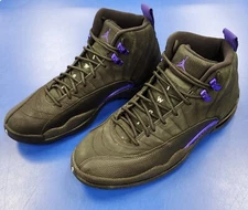2020 Retro AIR JORDAN 12 Dark Concord (CT8013-005) Mens Size 10.5 EUC