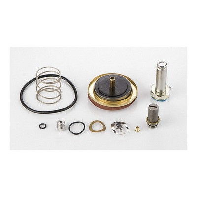 ASCO 304395 Rebuild Kit,for 5LU32 6DYE7