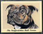 THE STAFFORDSHIRE BULL TERRIER - Dog Breeds Collectors Card Set - Staffie Staffy