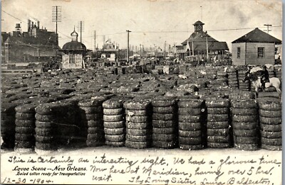 Levee Scene, New Orleans, Louisiana Postcard (1904) Baled Cotton