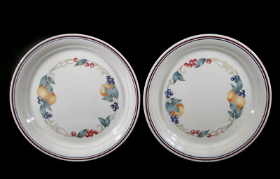 Corning Corelle Abundance Set of Two 10 1/4'' Dinner Plates