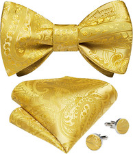 Men Bow Tie Paisley Striped Self-Bow Tie for Men and Silk Woven Bowtie Pocket Sq