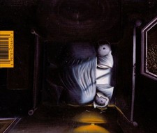 SUNNY DAY REAL ESTATE DIARY NEW CASSETTE