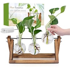 Plant Propagation Station, Plant Terrarium with Wooden Stand, Unique Gardening