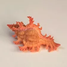 Pendant Murex Chicoreus Aculeatus Natural Seashell Rare Real Aquarium 1-1.5" In