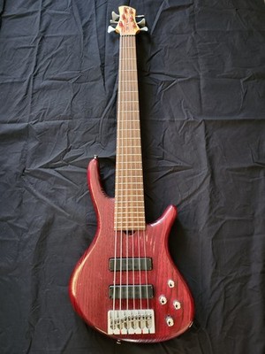 Roscoe Century Standard 6-String Bass