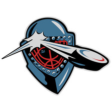 Idaho Steelheads sticker weatherproof bumper vinyl decal