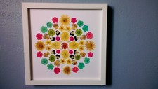 real pressed flower art mandala framed