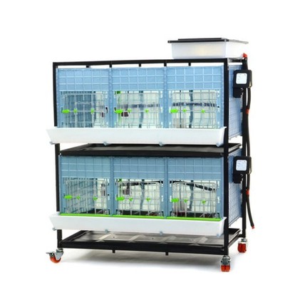 Chick Brooder - 2 Layer H: 15''