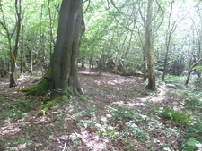 Photo A2 Redlands Wood Rooks Hill This whole area along the Greensand Ri c2014