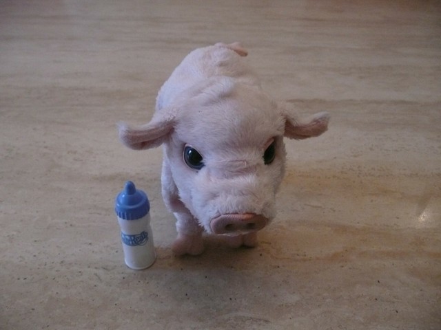 furreal friends newborn piglet