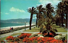 Santa Monica CA postcard PALISADES PARK BEACH MALIBU COAST OCEAN j/26 BK6852