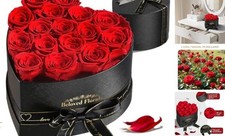 16 Preserved Flowers Rose Birthday Gifts for Women Her 16 Roses Passionate Red