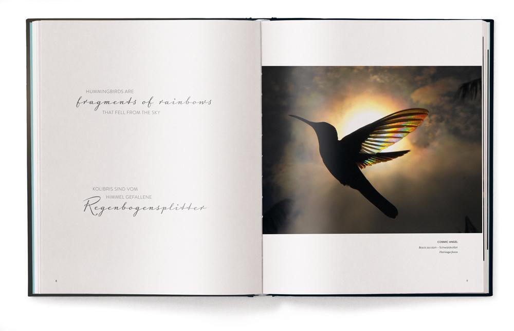 Thumbnail - Christian Spencer Vögel