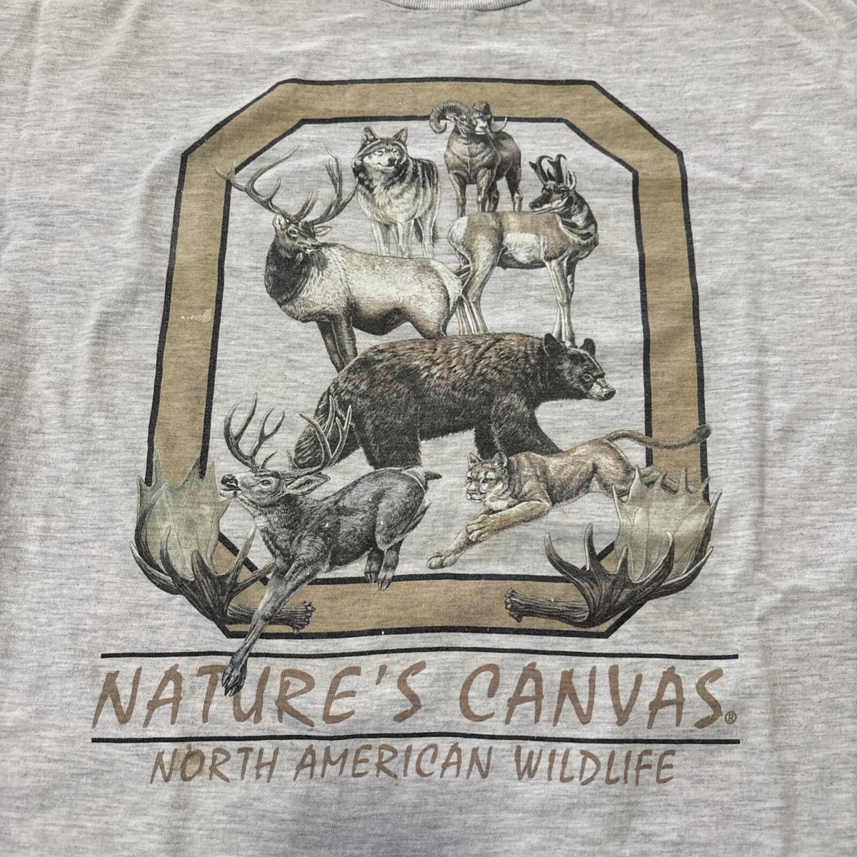 T-shirt homme coton bio Deer Trees sur Petit Goéland
