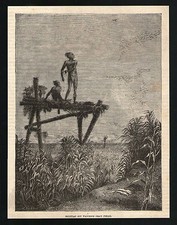 1877 engraving ~ Egyptian Boy Watching Grain Fields ~ Egypt ~ Antique