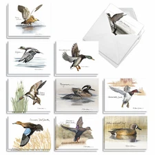 20 Assorted Blank Notecards w/ Envelopes (10 Designs, 2 Each) What's Up Duck
