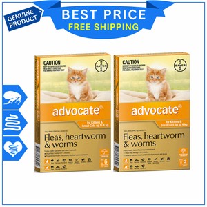 advocate for cats ebay