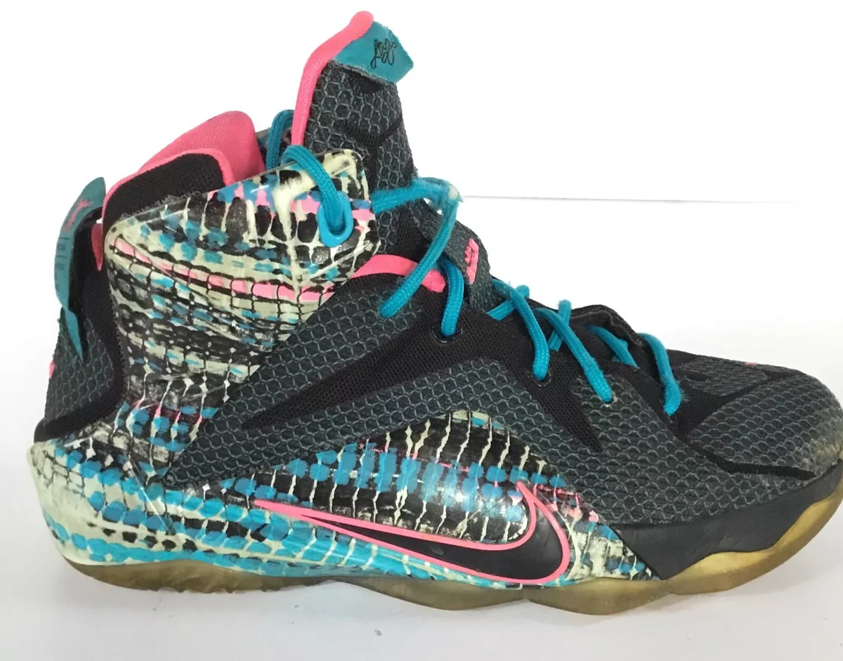 Lebron top 12 chromosome