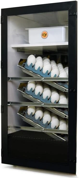 GQF MANUFACTURING COMPANY 3065R Clear Door For Cabinet Incubator