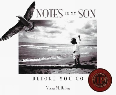 Notes To My Son Before You Go - hardcover Bailey, Vesna M.