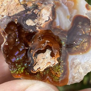 アメリカ産 Fire Agate 標本　1つ Deer Creek Fire Agate | eBay