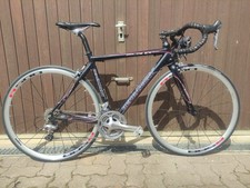 Rennrad Bergamont Dolce 5.9