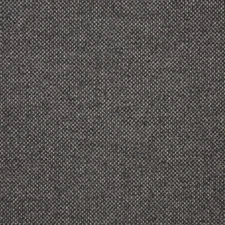 Sunbrella® Indoor / Outdoor Upholstery Fabric - Nurture Charcoal 42102-0006