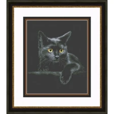 Counted Cross Stitch Kit Cat DIY