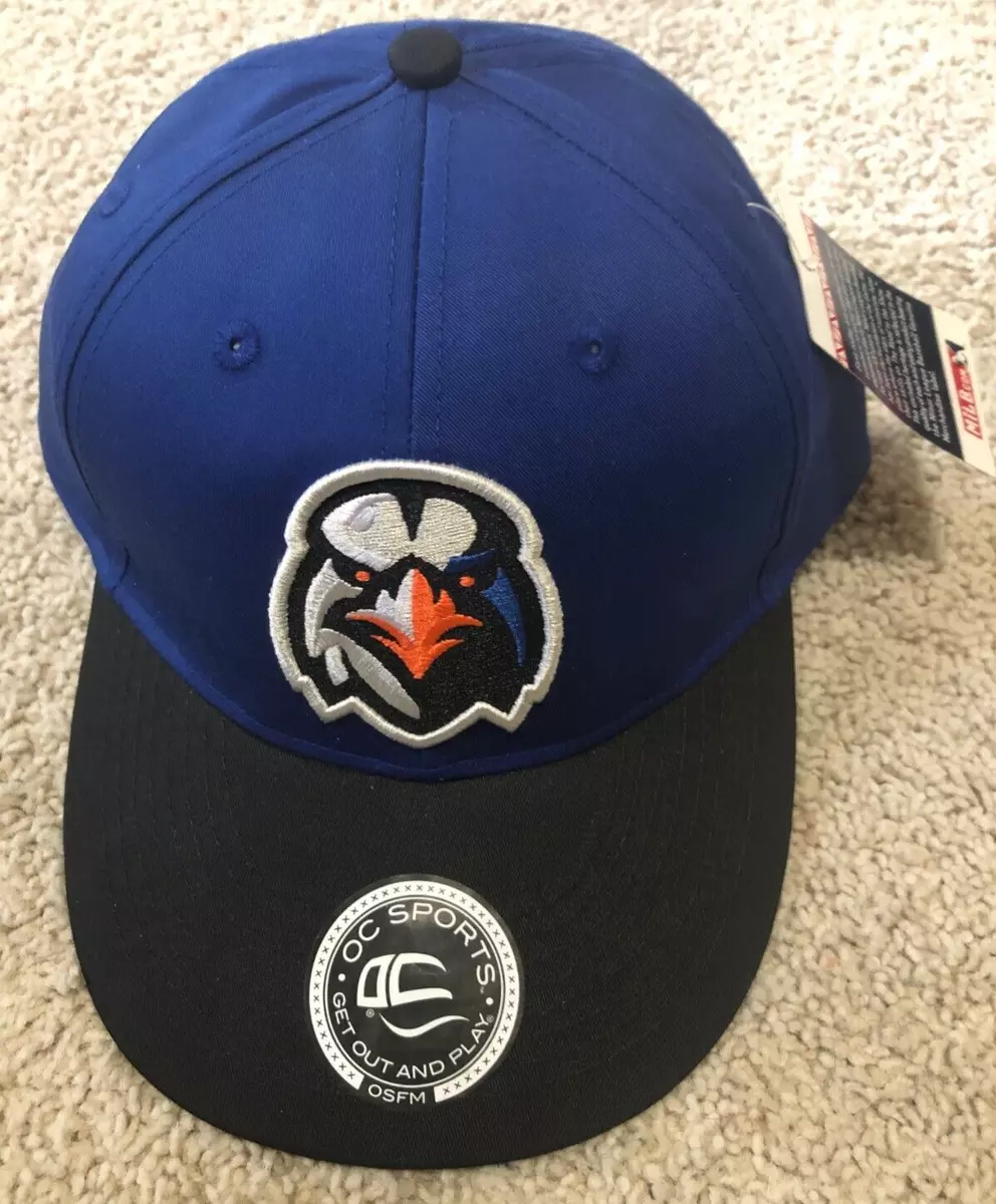 Aberdeen ironbirds clearance hat